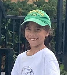 Toronto Police Operations tweet media