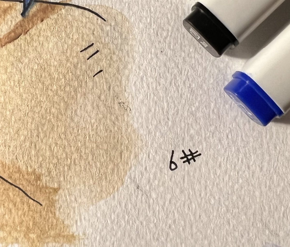 윤Gear5 tweet media