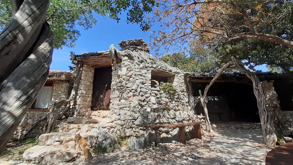 FelixCannas's tweet photo. Trova il padrone di casa che ci accoglie e accompagna all'ingresso dell'ovile
#Sardinia #BlueZones #Ogliastra #WildBlueZone https://t.co/JQ7KicvJPF
