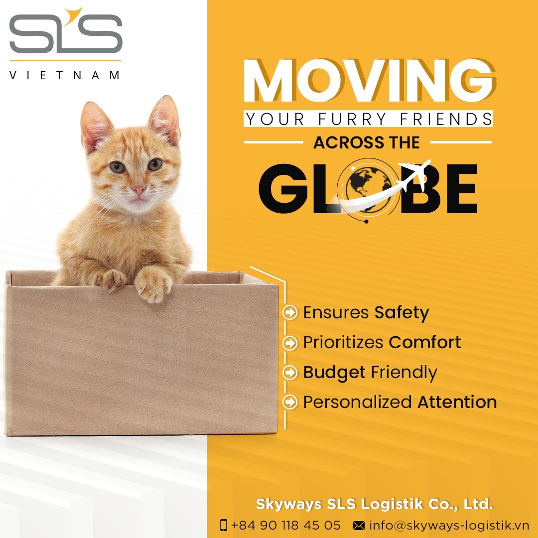 Let us take the stress out of moving your pet. Our expert team and pet-friendly services ensure a safe and comfortable journey for your beloved pet. 

#MovingWithYou #Skywaysvietnam #SkywaysLogistik #LogisticsServices #petrelocationservice #petrelocationvietnam