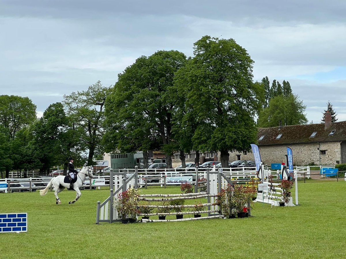 valdereuil_info's tweet photo. 🐎🏇Le Concours hippique @valdereuil_info - orga des mottes bat son plein ce week-end. Un spectacle exceptionnel et tout en élégance à découvrir demain encore toute la journée. Venez nombreux admirer la grâce de ces cavaliers à la Ferme des Mottes ! https://t.co/i2LGnl019B