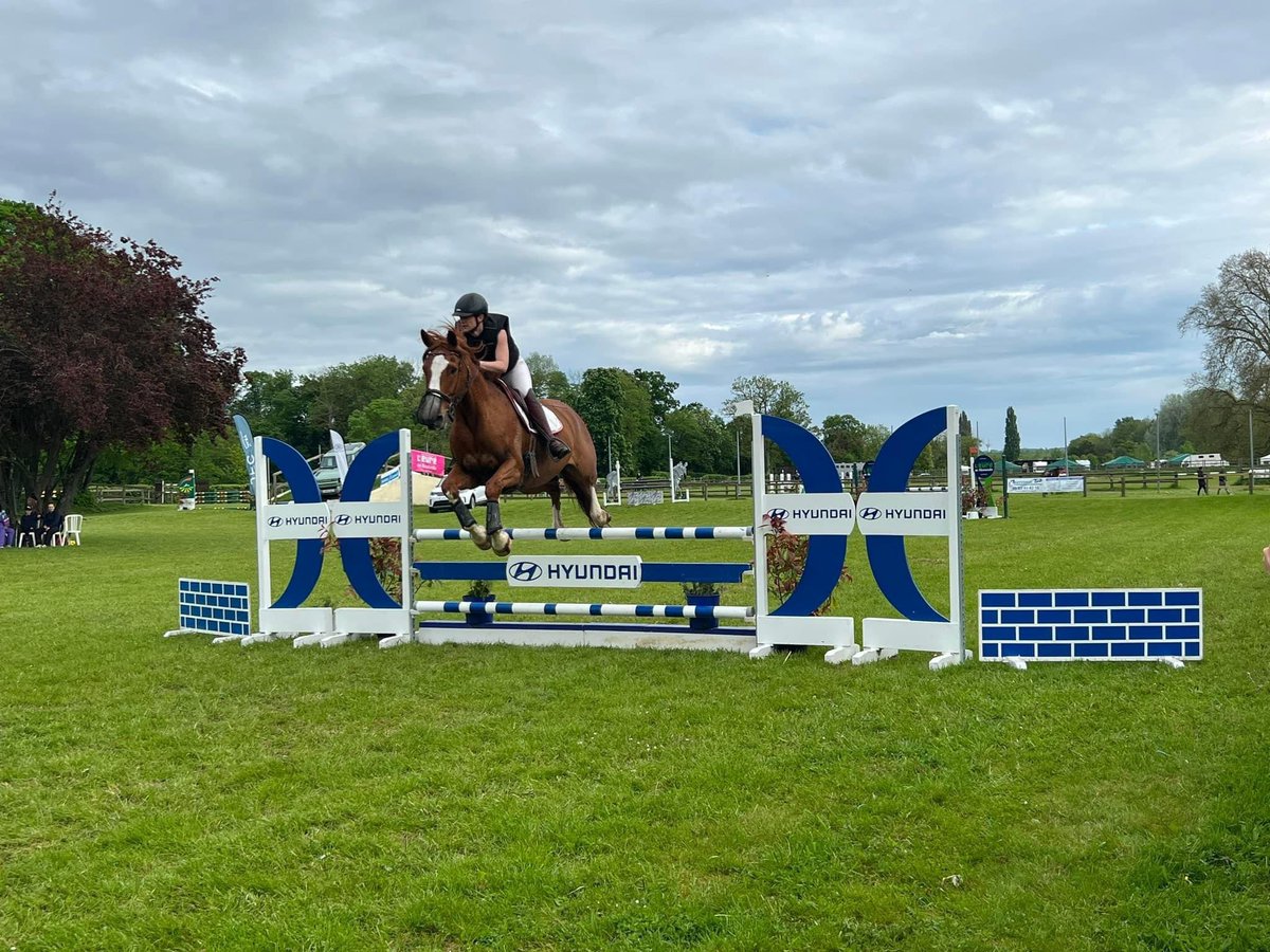 valdereuil_info's tweet photo. 🐎🏇Le Concours hippique @valdereuil_info - orga des mottes bat son plein ce week-end. Un spectacle exceptionnel et tout en élégance à découvrir demain encore toute la journée. Venez nombreux admirer la grâce de ces cavaliers à la Ferme des Mottes ! https://t.co/i2LGnl019B