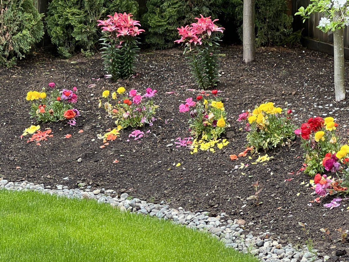 fpsouto's tweet photo. It’s all about perspective…

My son: Dad, did you see the plants threw up?
The plants: https://t.co/3T8ObjKpbp