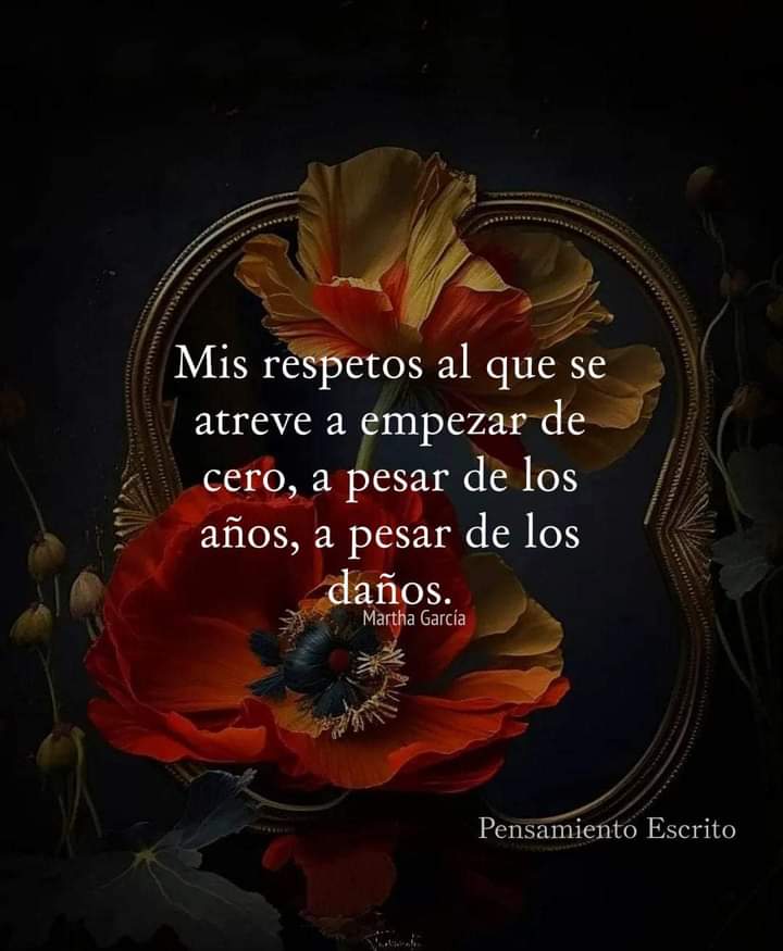 Chanishernandez's tweet photo. Vale la pena intentarlo ya que más puedes perder. https://t.co/tjnZIw5Htp