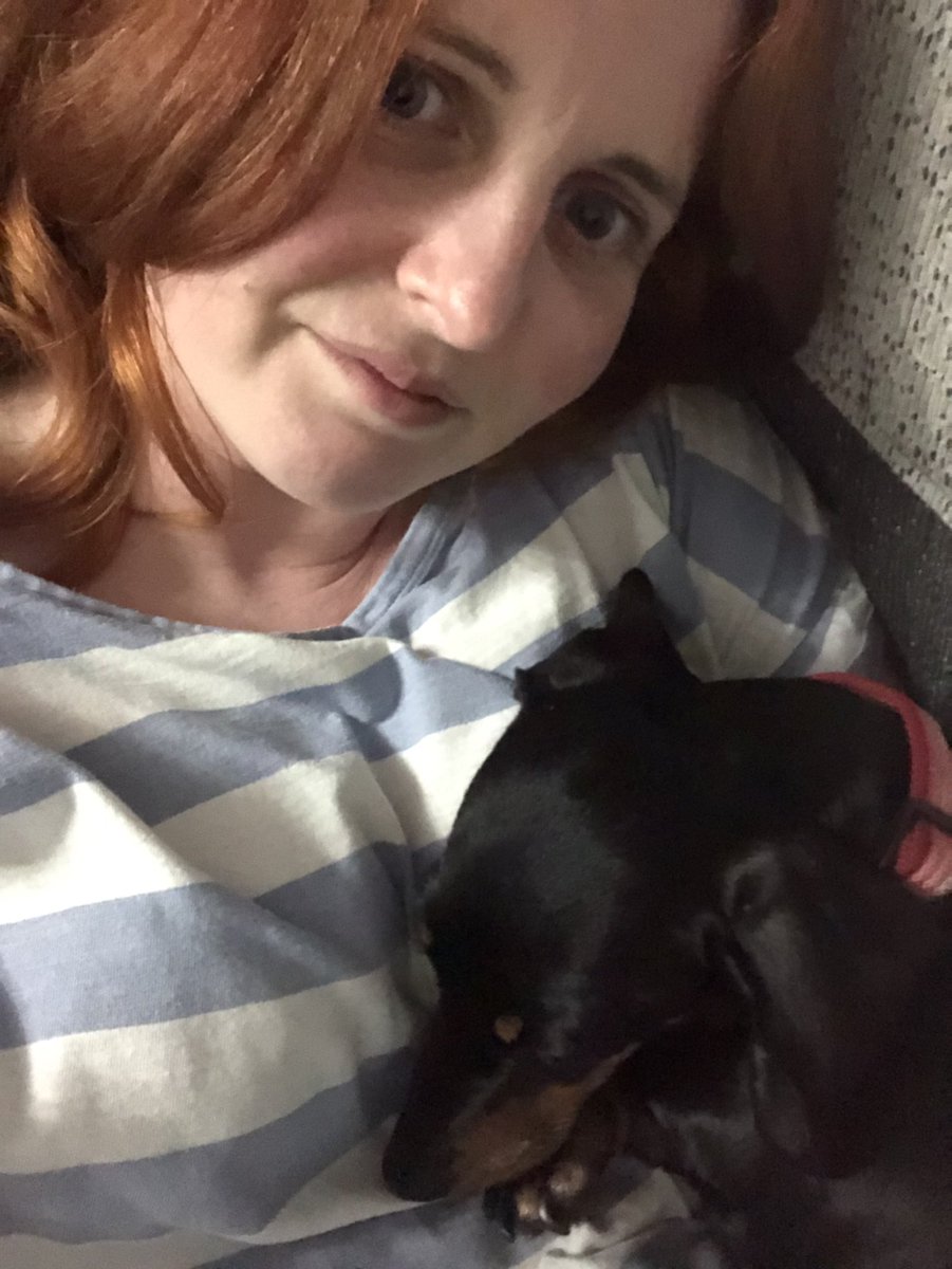 lisanic152's tweet photo. Some days you just need a cuddle and this little sausage was happy to oblige #Dachshund #dachsie https://t.co/4b7ZeIIFRQ
