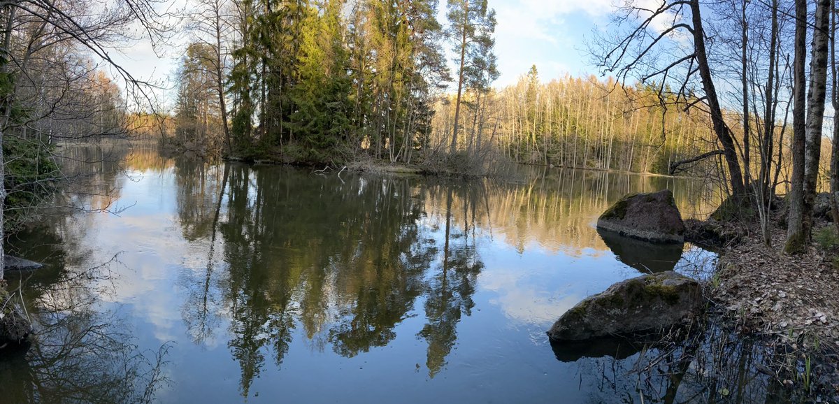 Kauden ensimmäinen riippariyöpyminen takana Kukuljärven vaellusreitillä Loviisassa. Hieman oli vielä viileää yöllä. Vaihteleva ja keskivaikea 9 km ympyräreitti. Suosittelen nousuista pitäville. #riippumatto #loviisa #vaellus #kukuljarvi