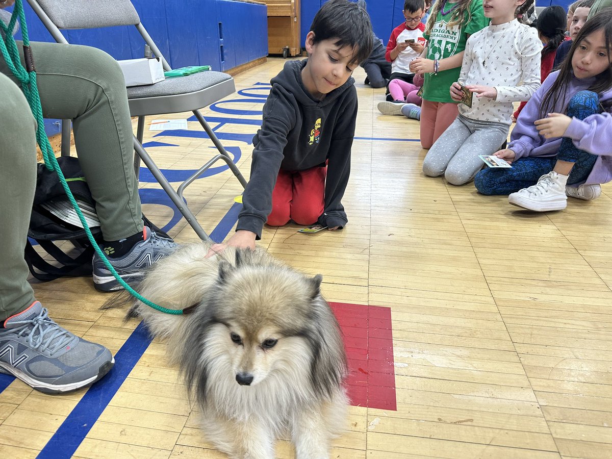 MrsBernalGrade2's tweet photo. Attitudes in Reverse taught us many strategies we can use to help improve our mental health such as journaling, getting exercise, and keeping our living space tidy. We also enjoyed meeting Goober, the sweetest therapy dog ever! 🐶 😍 #WeAreTisdale https://t.co/YrlZjMmdol