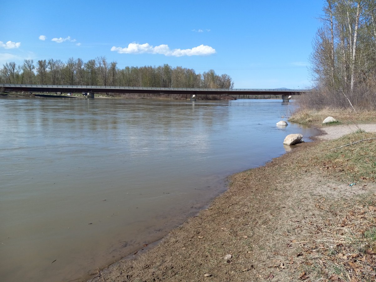 RanchEmu's tweet photo. The weather is warming up, which means the snowpack is melting and the Flathead River is almost at full bank! The first photo is Lybecks dike about 3 miles upriver.
#montanaemuranch #montana #flatheadvalley #flatheadriver #lybecksdike #snow #spring https://t.co/cjjU5tvxSv
