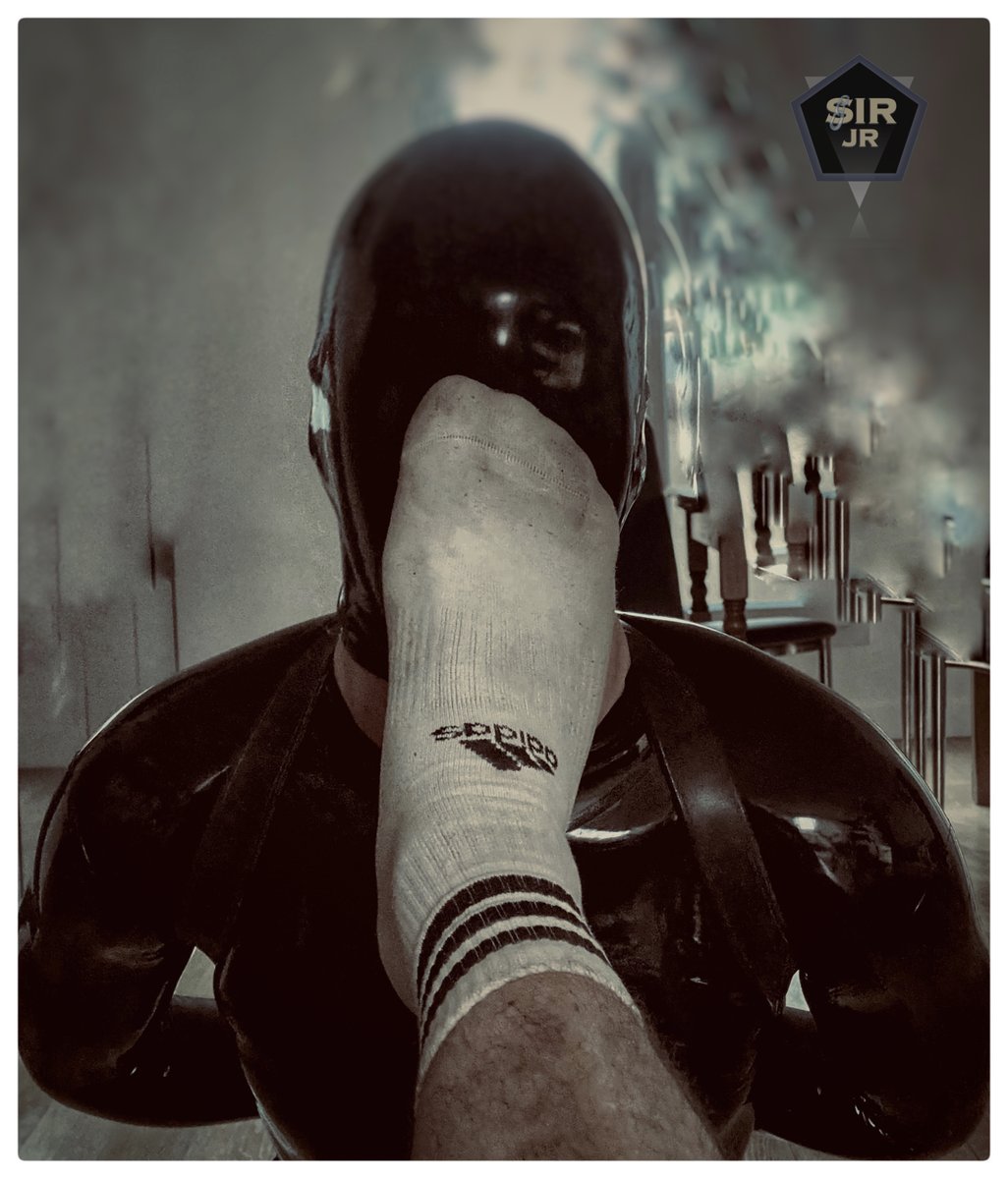 STRnaturaldom's tweet photo. Dinner time for my gimp... ! https://t.co/vdBve291KZ