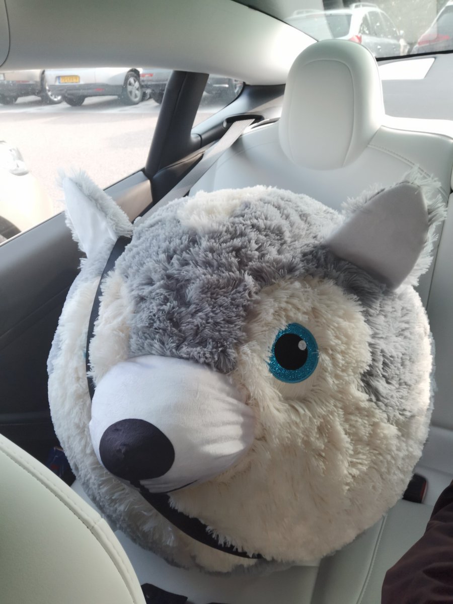 テスラ初心者🔰 tweet media