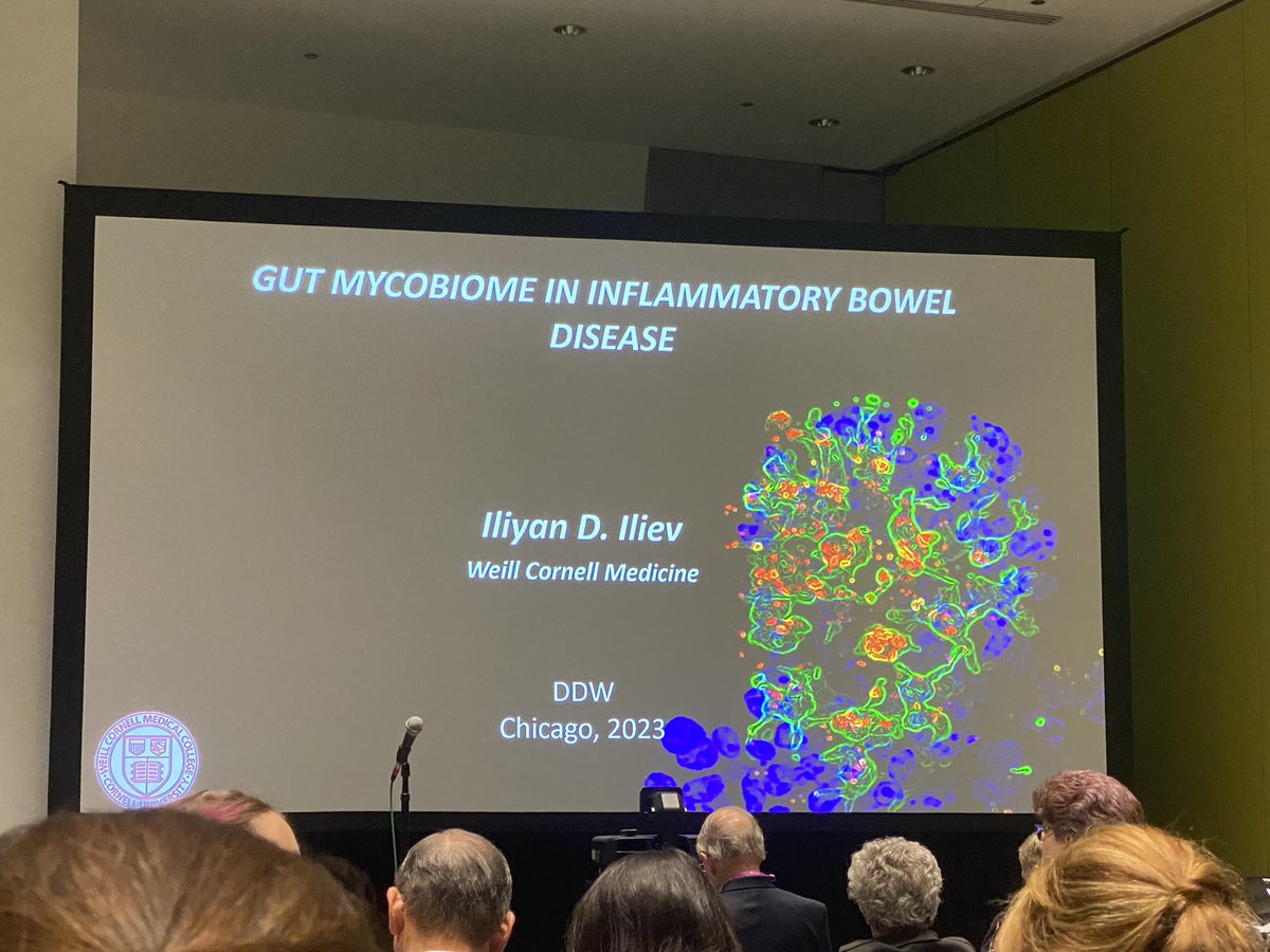 Really amazing to attend a lecture by <a href="/IlievLab/">Iliev Lab</a> at #DDW2023! Can’t wait to see more on gut fungi in intestinal diseases including #IBD and #IBS