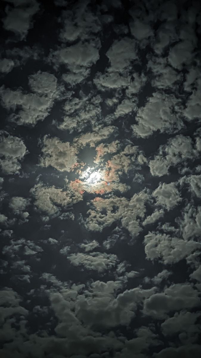 ioghoi's tweet photo. لَستُ الَّذي يَرتجي النّاسَ وَصلًا
ولا مَن إذا هَجَروا يَأْلَمُ
أنا البَدرُ، ما ضَرَّني في لَيالِيَّ
سُحْبٌ تُغادِرُ أو أَنجُمُ https://t.co/2ZtoqTC1W5