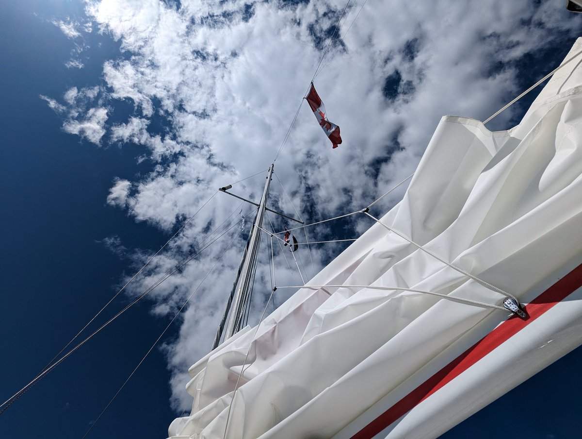 Maverick V tweet media