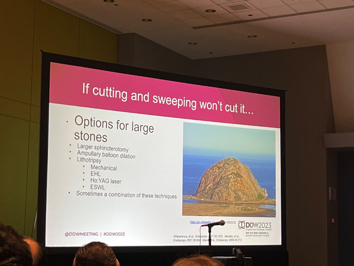 Learning from @Duke_GI_ very own Dr Stan Branch at #DDW2023 giving a master class in endoscopic management of large bile duct stones.