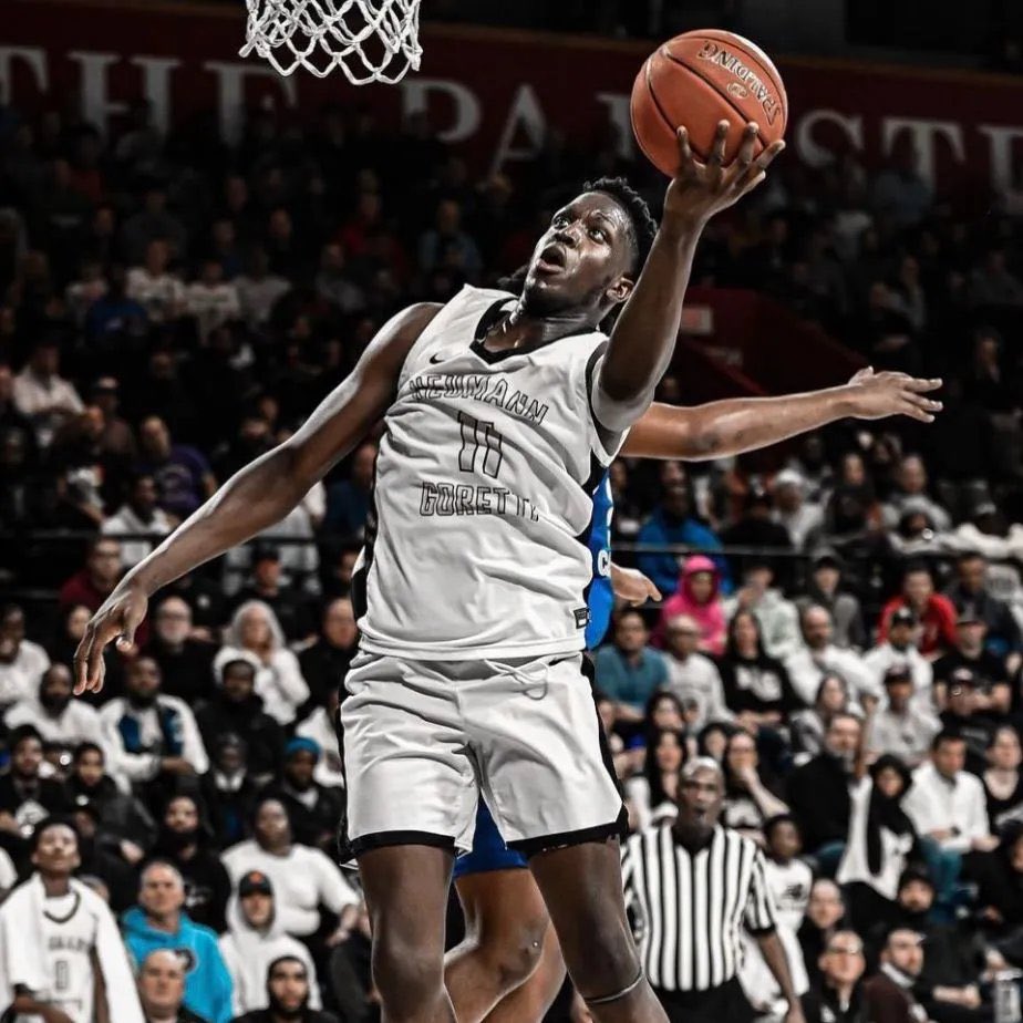 BlusoarEdu's tweet photo. What a journey for Sultan Adewale! From an under the radar UK National Team player to a U.S. High School where his game took off. Now he has just committed to NCAA D1 program, Iona University. Another step in a journey that’s got a long way to go! https://t.co/p6fh217IrG