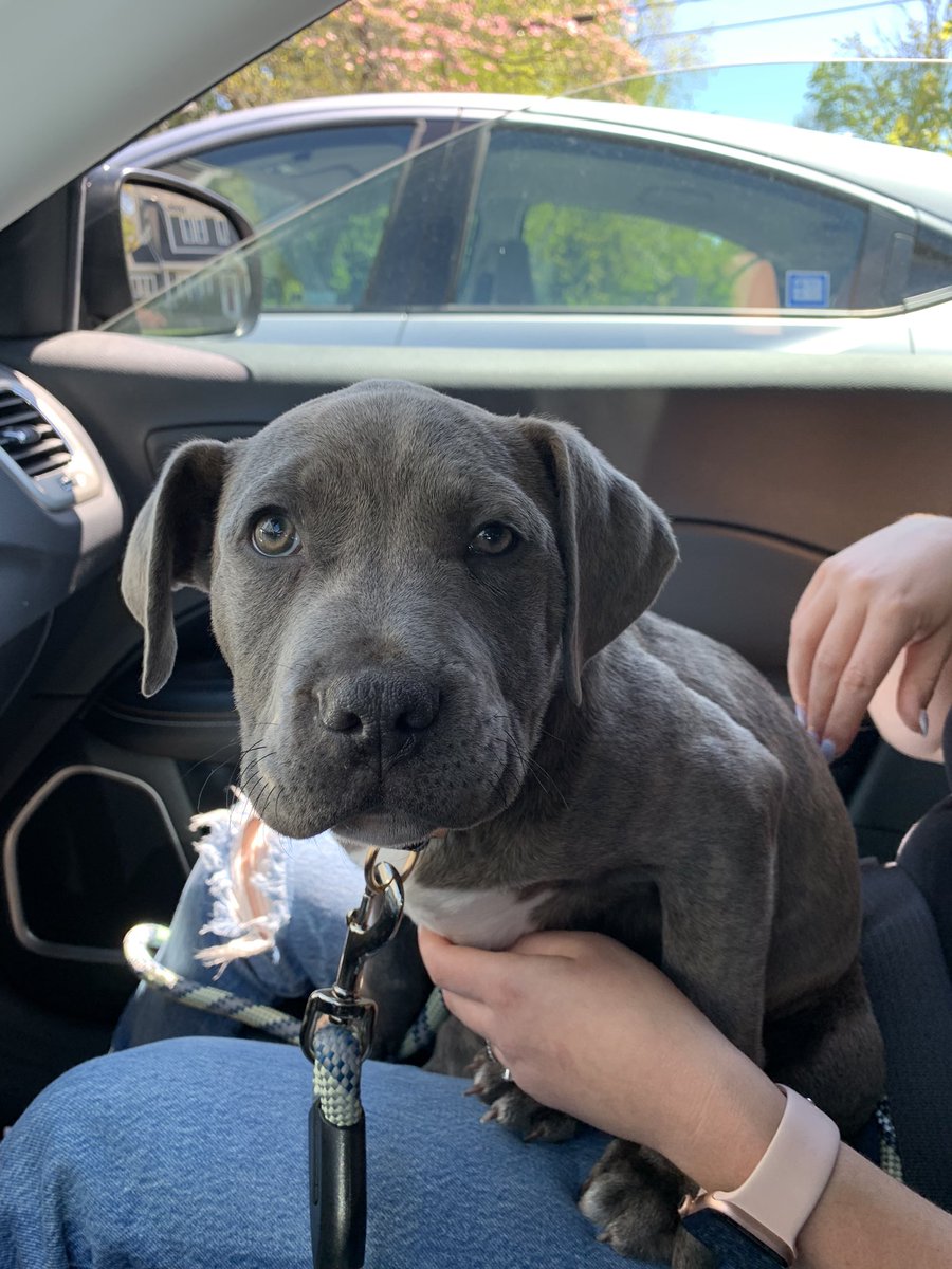 Goth__Dad's tweet photo. New best friend and roommate https://t.co/rDwHhLVRAu