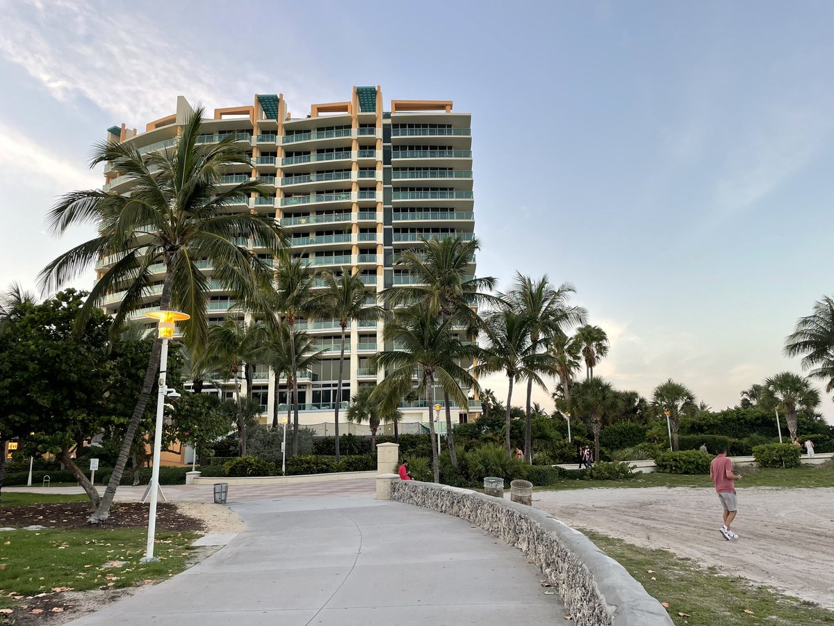 Daniel Kay Hertz on Twitter "Miami Beach is a fever dream"