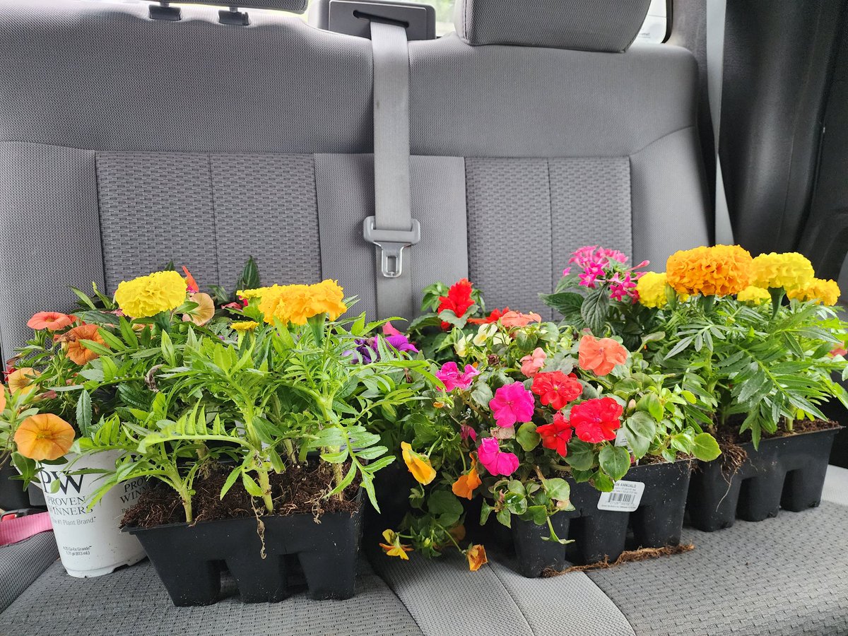Time to plant!
#flowers #springtime #beauty