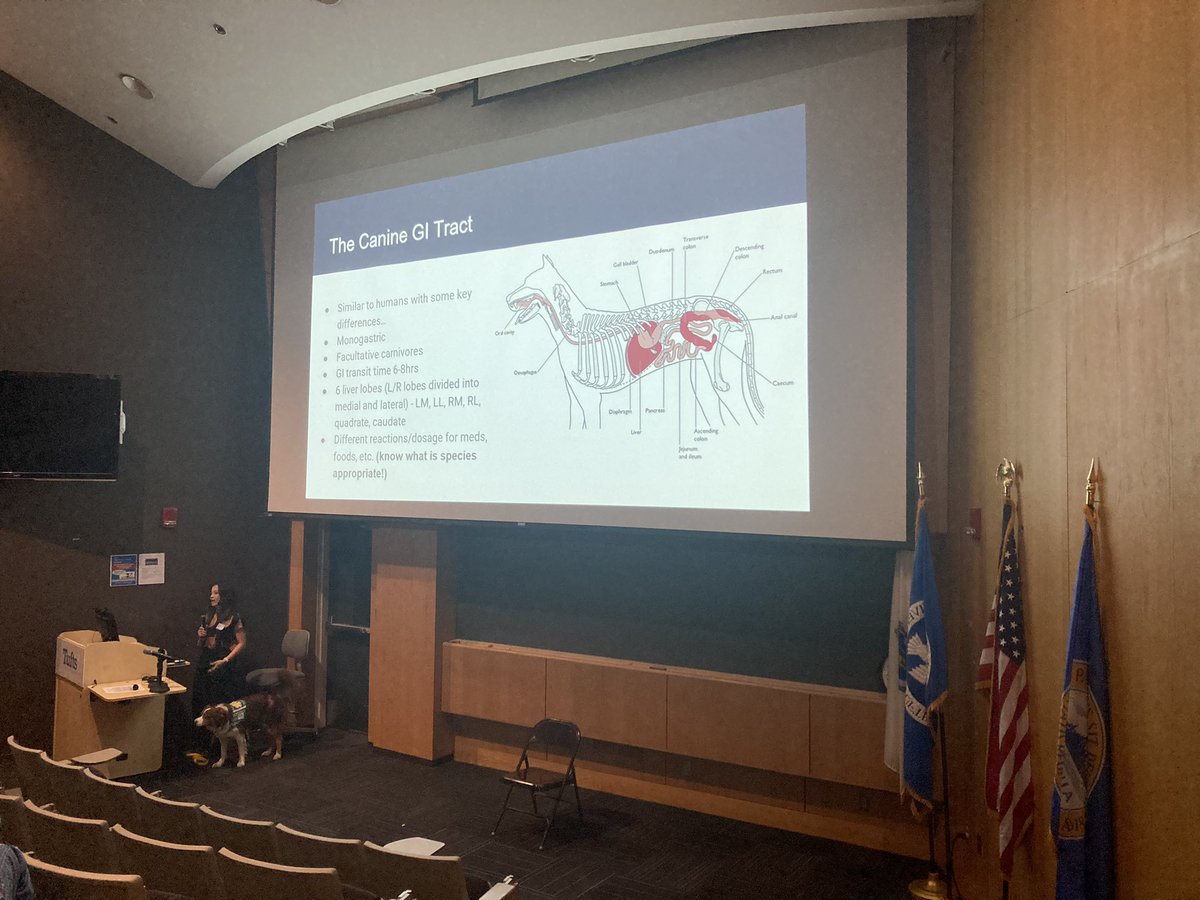 RLufler's tweet photo. Why do dogs eat ALL THE THINGS?! Learning canine GI with our @tuftsvet colleagues at #CadEx23 https://t.co/hDUJrcB80w