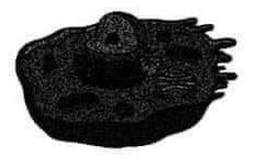 na explicação do professor // na minha prova