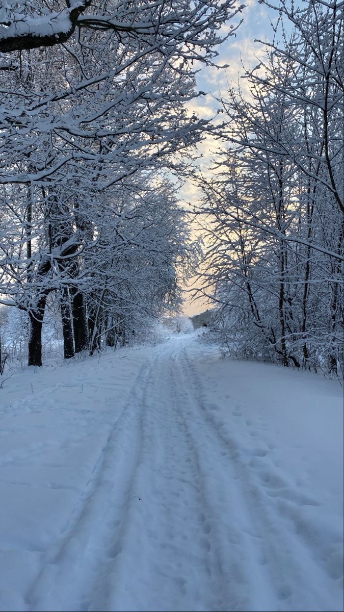SnowlandSchool's tweet photo. Exteriores de la escuela de Snowland. https://t.co/IF8nPjhYhr
