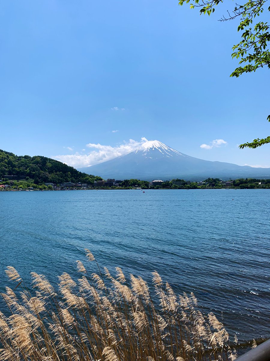 MelissaGV's tweet photo. Lo bueno de vivir en Japón, es que de vez en cuando puedes salir a turistear y encontrarte con lugares increíbles, rodeados de naturaleza y alejados de las grandes ciudades 👌🏼 https://t.co/Tg8h7uLQ32