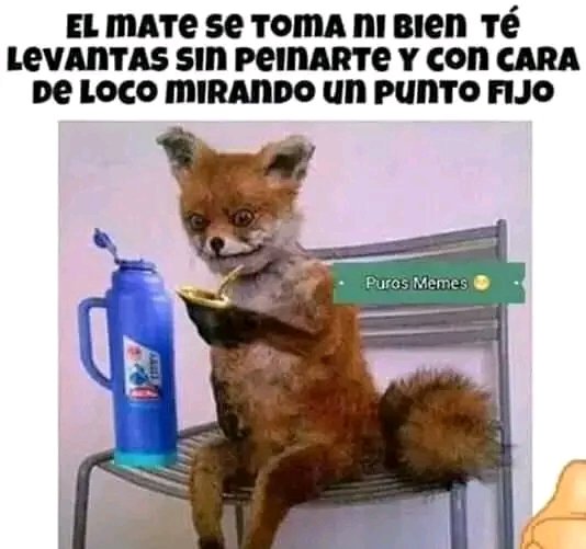 alimisa99's tweet photo. Buen día gente 😌 https://t.co/jztQJmPWfX