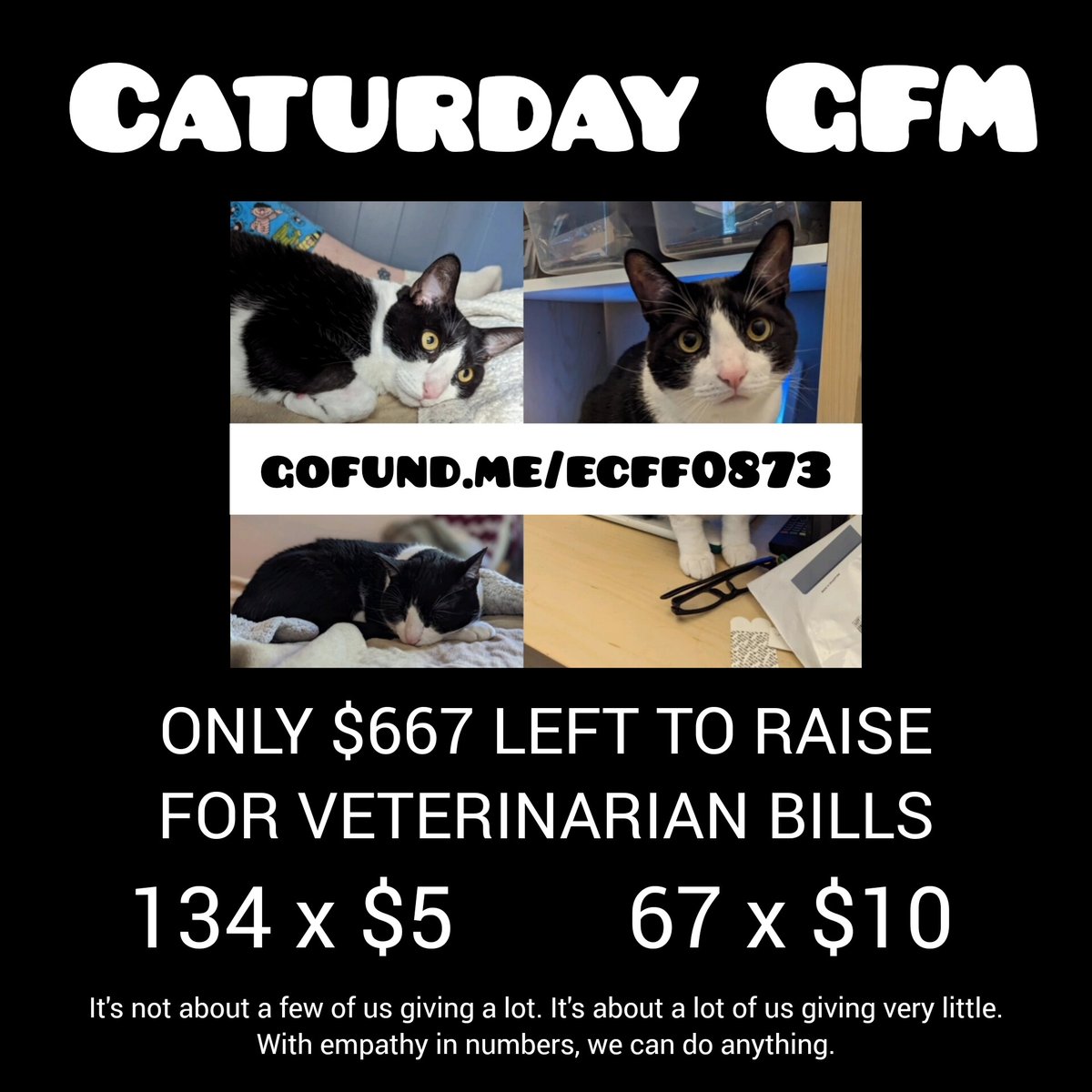 Cheyanne4UBI's tweet photo. #Caturday #CrowdfundBasicIncome
๐โโฌ๏ธhttps://t.co/X5fK1gCcoh๐พ
PLEASE SHARE AND GIVE $5-$10 IF YOU HAVE THE MEANS โค๏ธ๐๐ป https://t.co/cZ8uH5dkqo