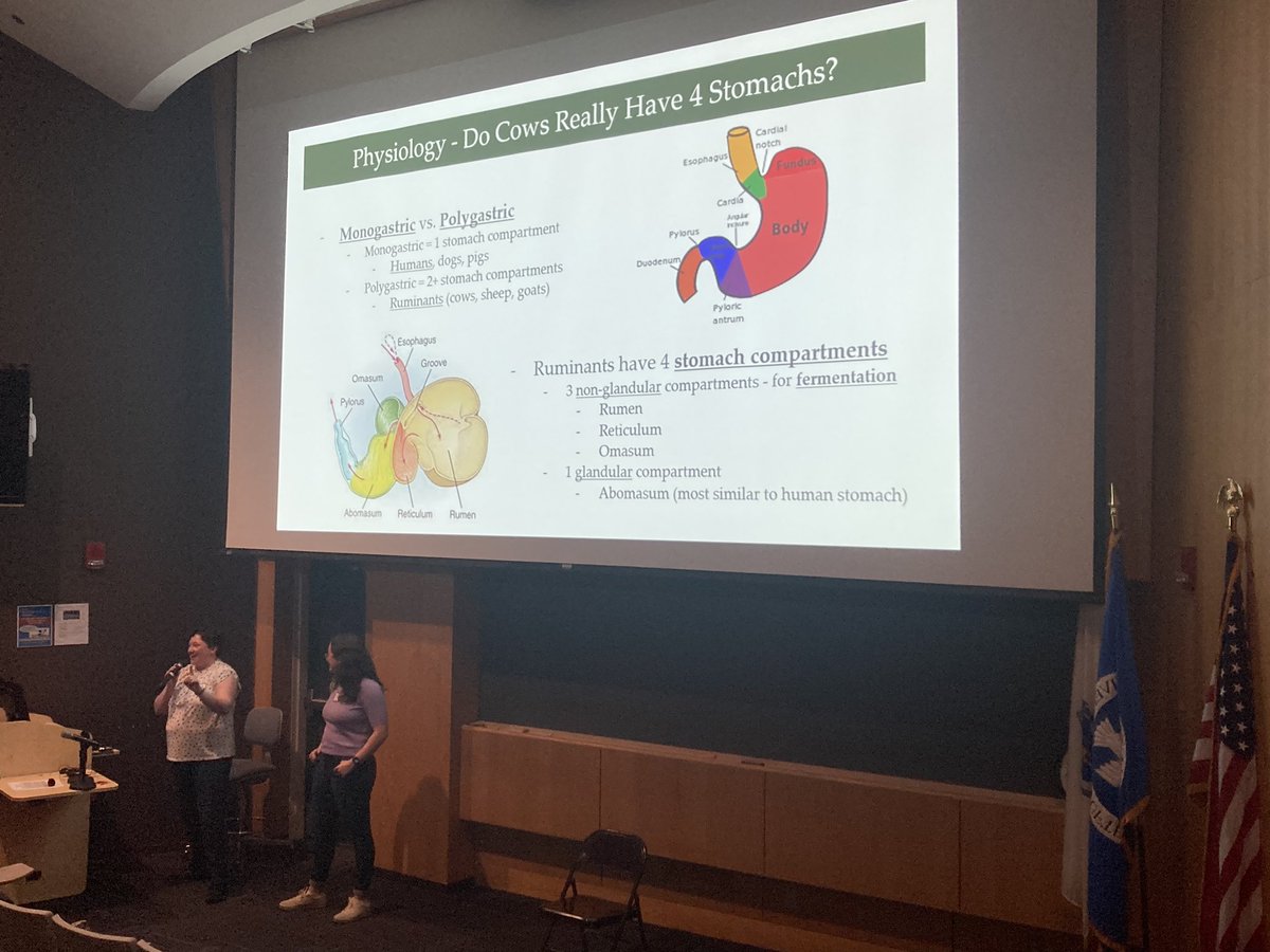 RLufler's tweet photo. Do cows really have 4 stomachs?! Come to #CadEx23 to find out! @tuftsvet @TuftsMedSchool @TuftsDental https://t.co/zrMsYjxIXd