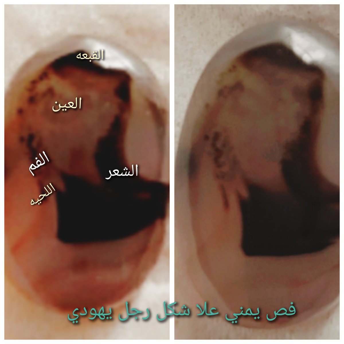 Ahjaarkaree's tweet photo. @QatarNewsAgency https://t.co/1c8ANvjY4b