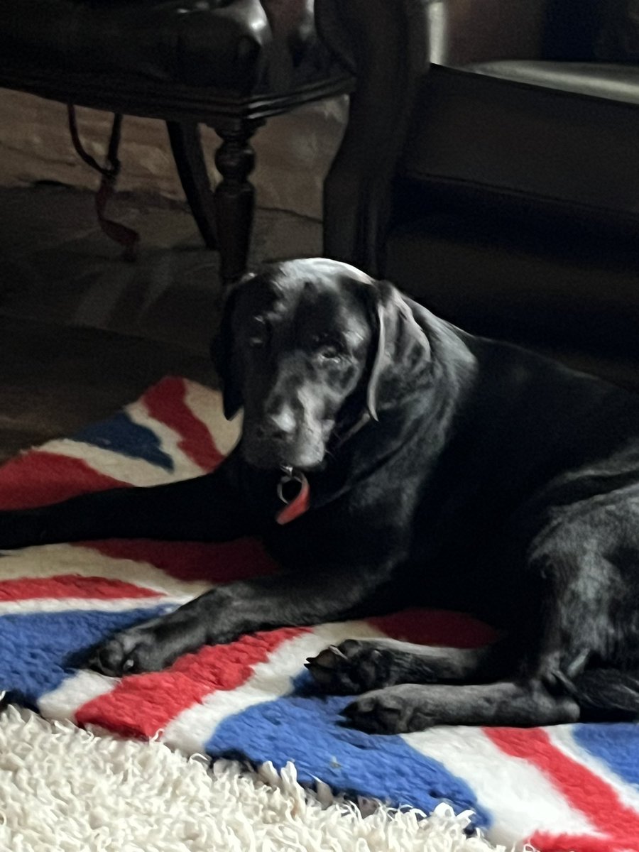 DigbySdiary's tweet photo. https://t.co/XPoWtmT1Em