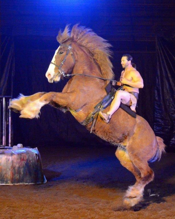 StarAttractions's tweet photo. Fun, family-friendly entertainment! 🎪

#TalentAgent #Fairs #Festivals #Entertainment https://t.co/TvpRw37tsm