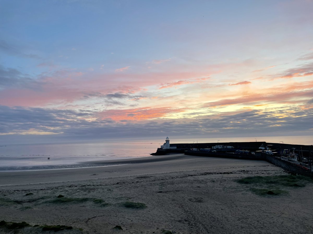 89th Dublin Scouts tweet media