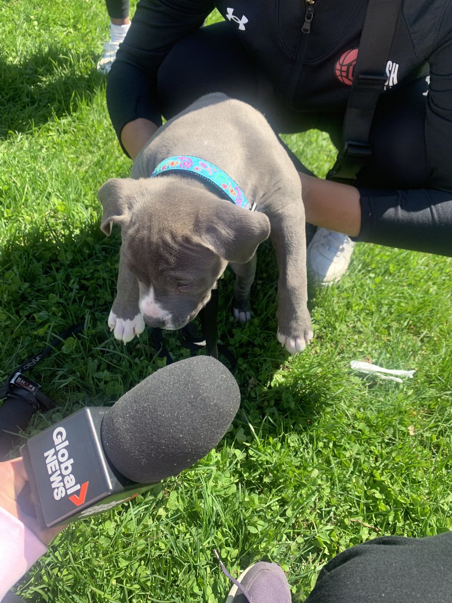 I get to interview everyone.