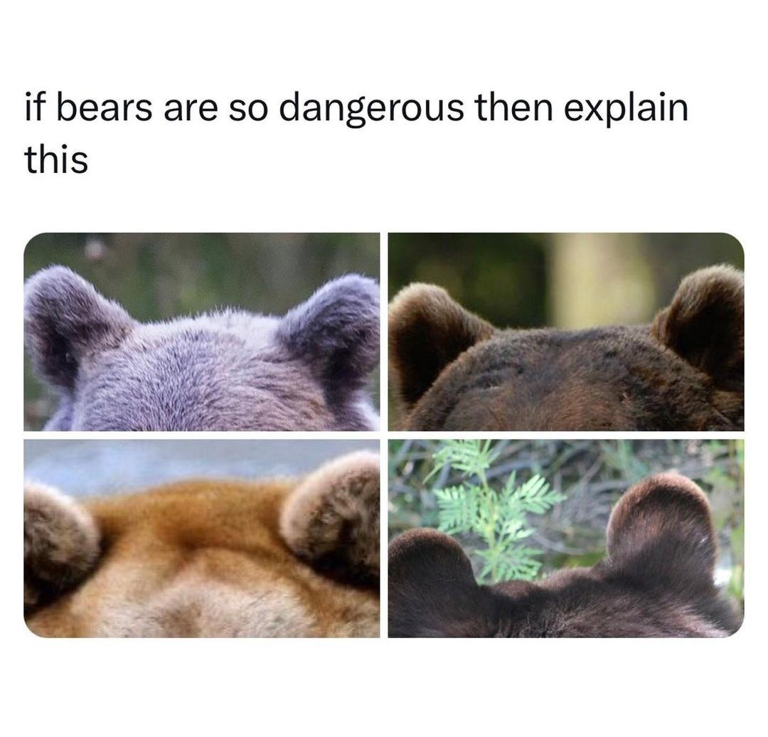 Juan Nieves (@juanxom) on Twitter photo 