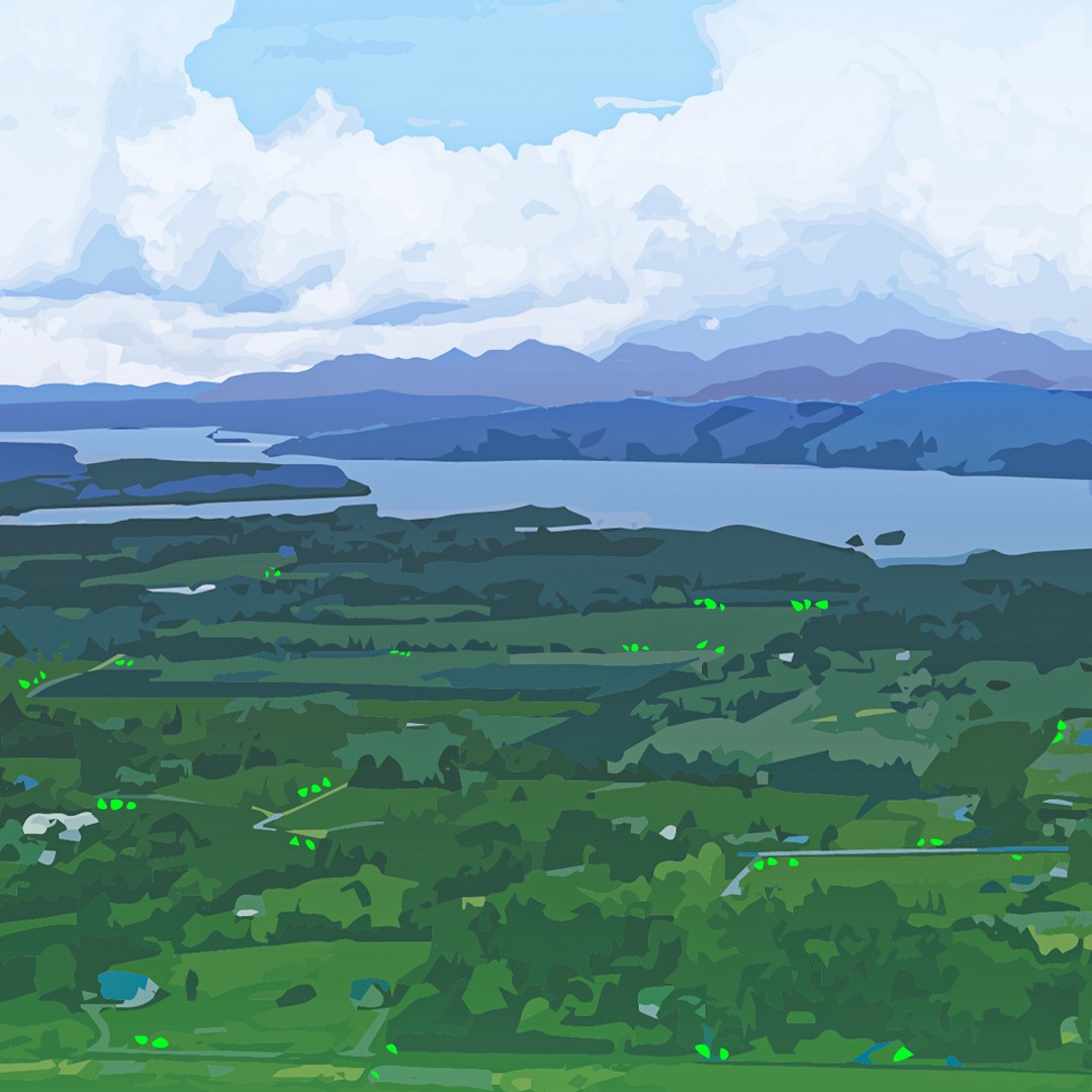 FourNineDesign's tweet image. Happy Green Up Day! You know Spring has sprung in #Vermont once you see those iconic green bags lining the road.