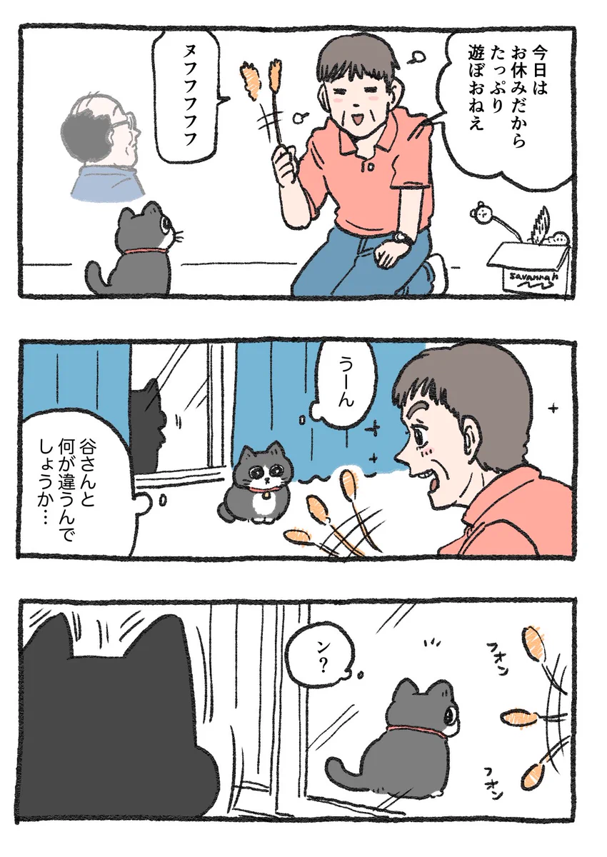 「ねこ転」その91が公開！久しぶりのてぷちゃん登場に歓喜するプンちゃんが可愛い