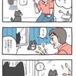 「ねこ転」その91が公開!久しぶりのてぷちゃん登場に歓喜するプンちゃんが可愛い