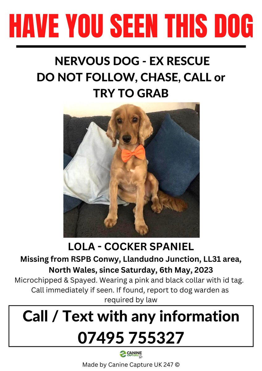 uk_canine's tweet photo. 📷NERVOUS EX RESCUE - SIGHTINGS ONLY NEEDED. Spooked and ran off on a walk away from home📷
📷 #LOLA IS #MISSING from #RSPB #Conwy, #Llandudno Junction, #LL31 area, North Wales since Saturday, 6th May, 2023.
Please ring number on poster if seen
https://t.co/5y2GBjeQoh https://t.co/Wg5jIi1SU5
