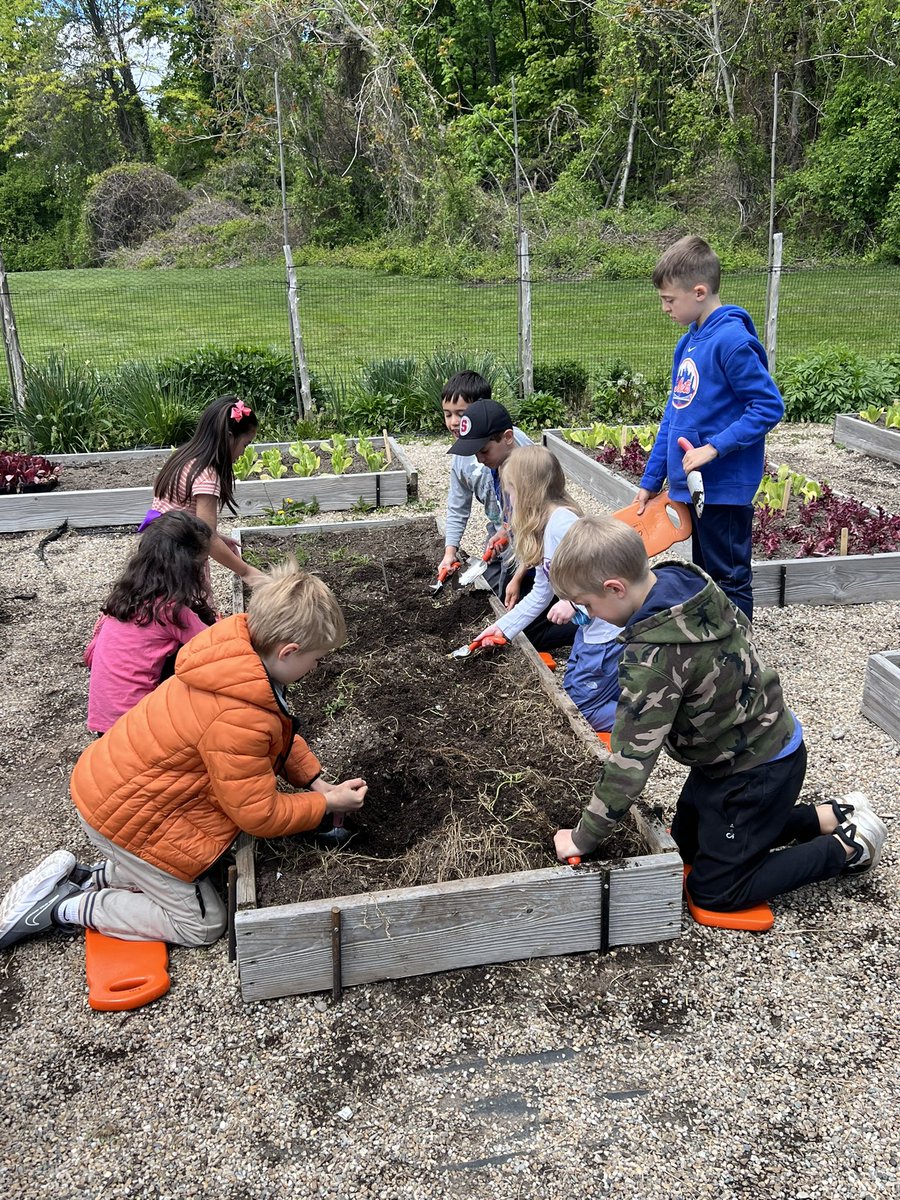 QRS_Smith's tweet photo. 3 C/S enjoyed gardening today, they were able to measure and plant kale! #qrspride https://t.co/PCYcpgJZMr