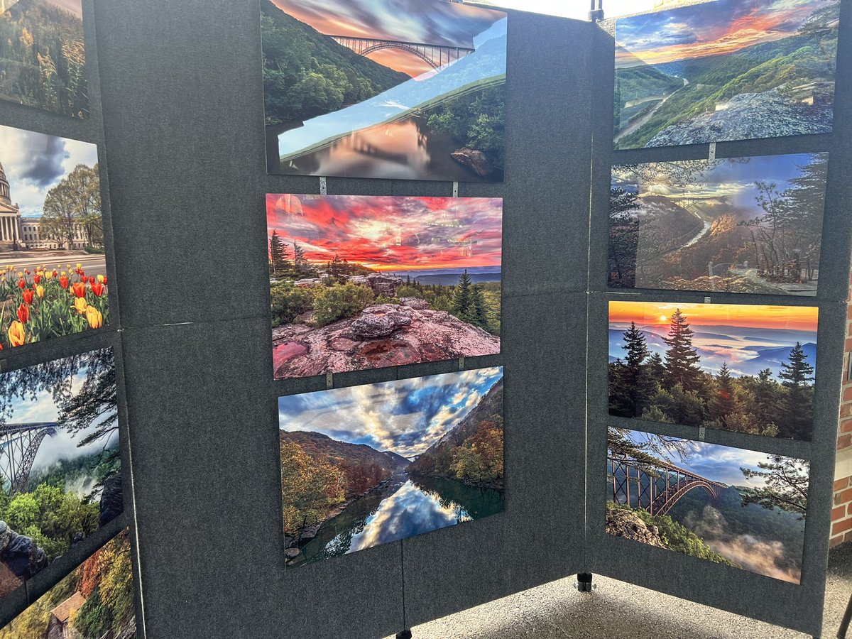 FestivALL tweet media