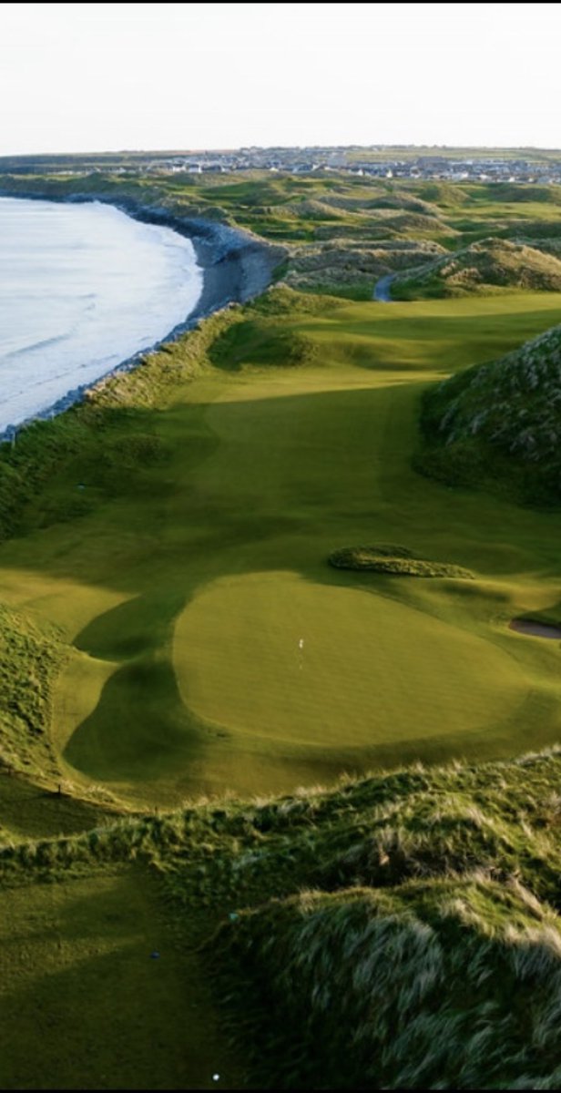 findingfescue tweet media