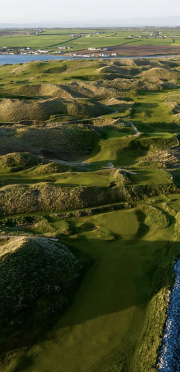 findingfescue tweet media