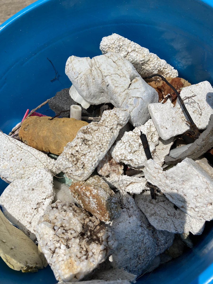 Plastic Free Lake Erie tweet media