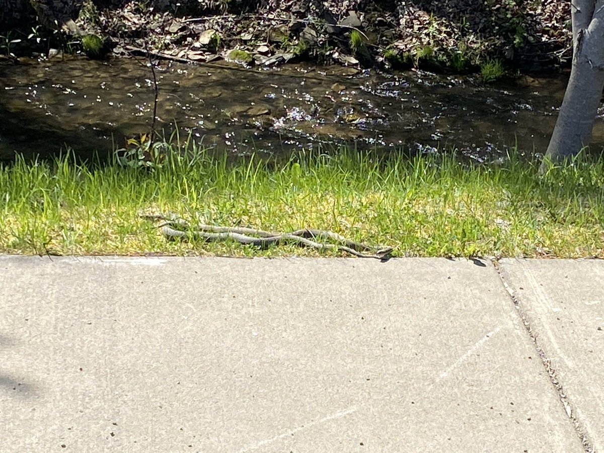 Angela Dunbar tweet media