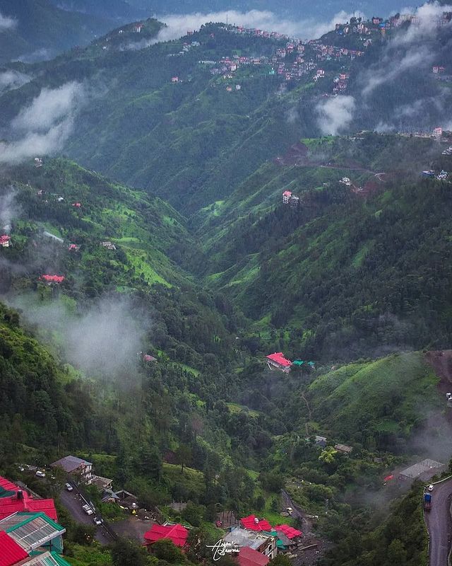 Shikha Yadav tweet media