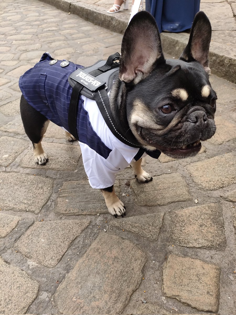 Today's wedding had a first for me: a doggy ring bearer! 💍

Opie was such a good boy and did his job well. ❤️🐕

#HumanistCelebrant 
#WeddingCelebrant
#HumanistWedding