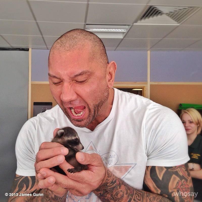 PortalGOTG's tweet photo. Sei que é uma fake news inocente que não atrapalha ninguém, mas vamos ter cuidado ao compartilhar informações que não sabemos se são verdadeiras. 🦝💚 https://t.co/qdIufa2StR