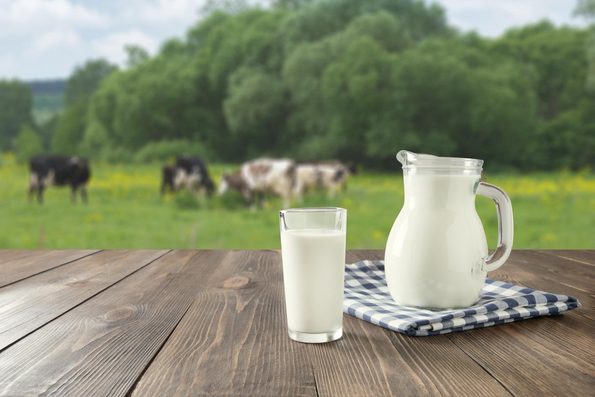 followDiamondV's tweet photo. 🎉 Happy National Beverage Day! Celebrate with Diamond V and raise a glass of milk🐄🥛. Perfect for any occasion. Cheers to a refreshing and nutritious beverage. 

#DiamondV #NationalBeverageDay #Milk https://t.co/TYSJP6R0IS