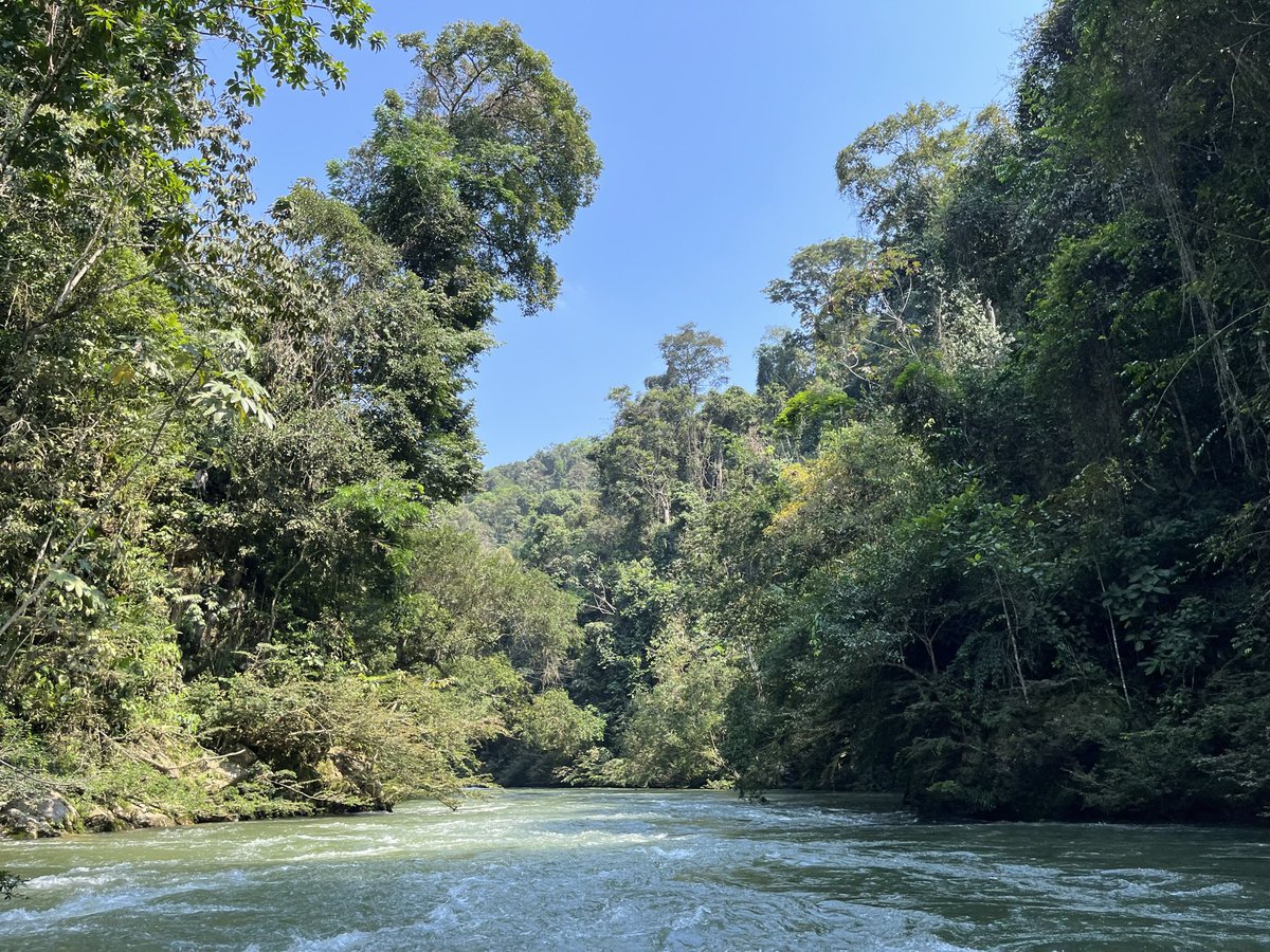 En una economía alrededor de la vida tiene todo el sentido que existan APPs para conservar la Naturaleza. Las obras por impuestos también pueden expandirse a la restauración ecológica y a mantener las contribuciones de la Naturaleza al desarrollo #CapitalismoRegenerativo